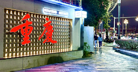 app域名无法解析查询失败