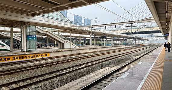 怎么查询app服务器域名密码