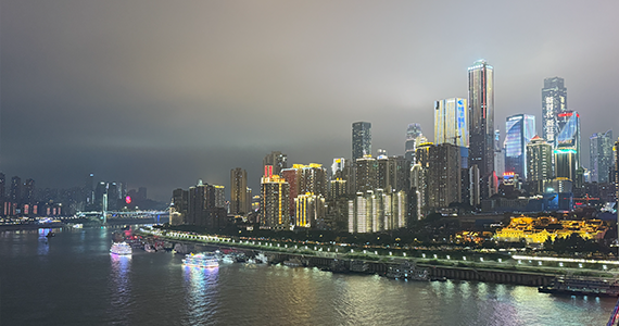 app域名查询：掌握域名注册与管理的关键步骤