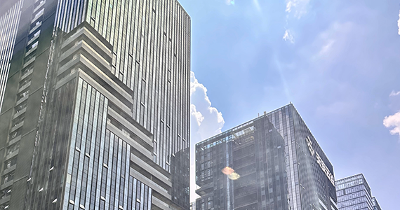 手机app软件域名查询